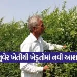 Tuvar Farming Success 1
