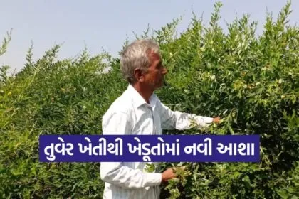 Tuvar Farming Success 1