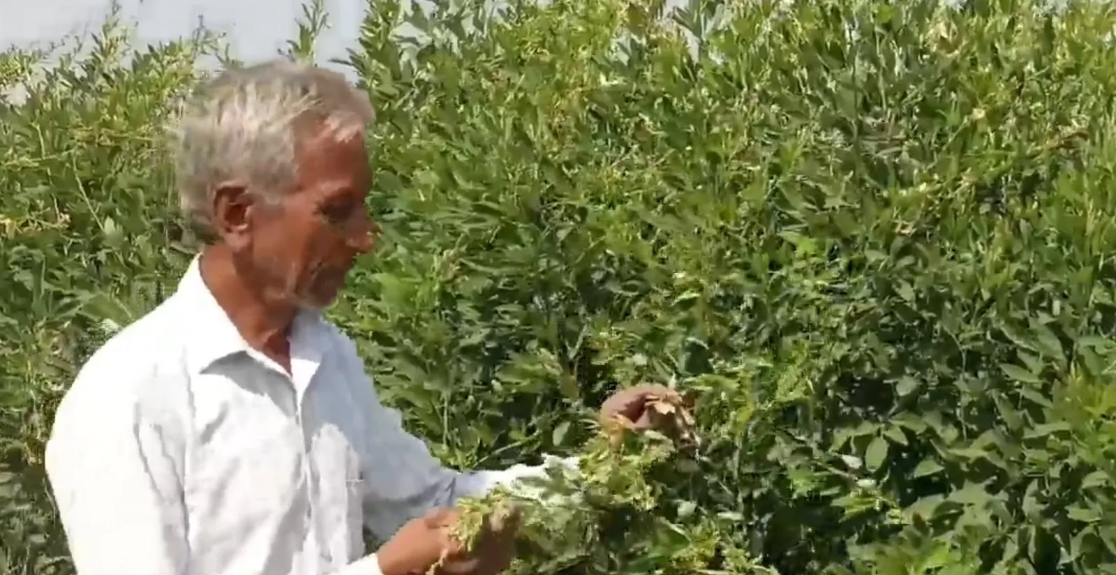 Tuvar Farming Success 2.jpeg