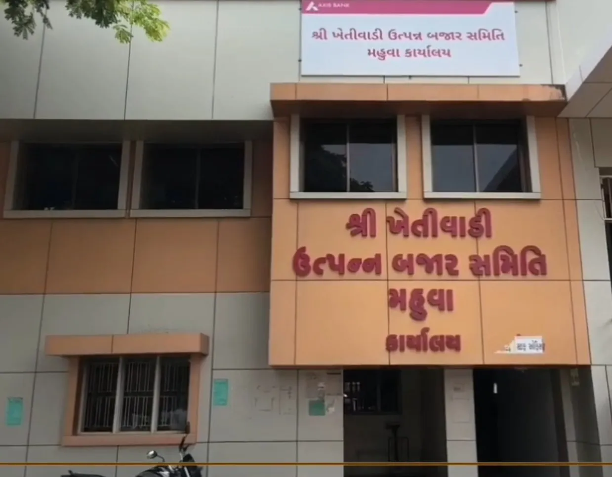 Groundnut Price in Gujarat 2.jpeg