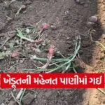 Kharif Onion Crop 1