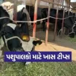 Milk Production 2