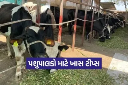 Milk Production 2