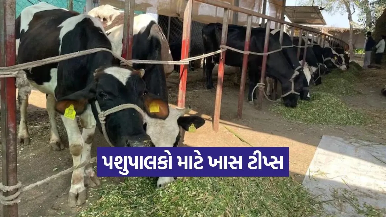 Milk Production 2.jpg