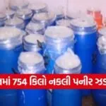 Duplicate Paneer in Surat 1