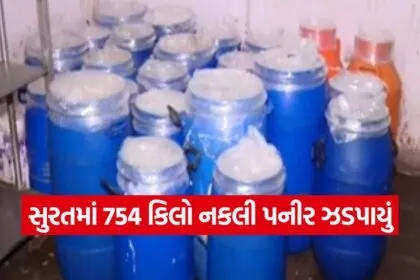 Duplicate Paneer in Surat 1