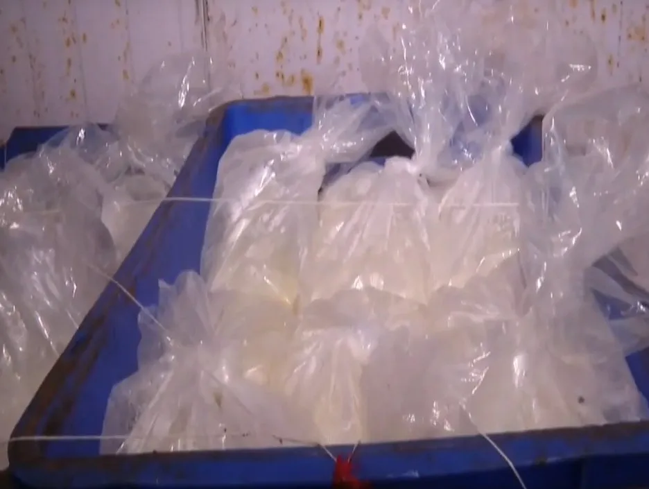 Duplicate Paneer in Surat 1.jpeg