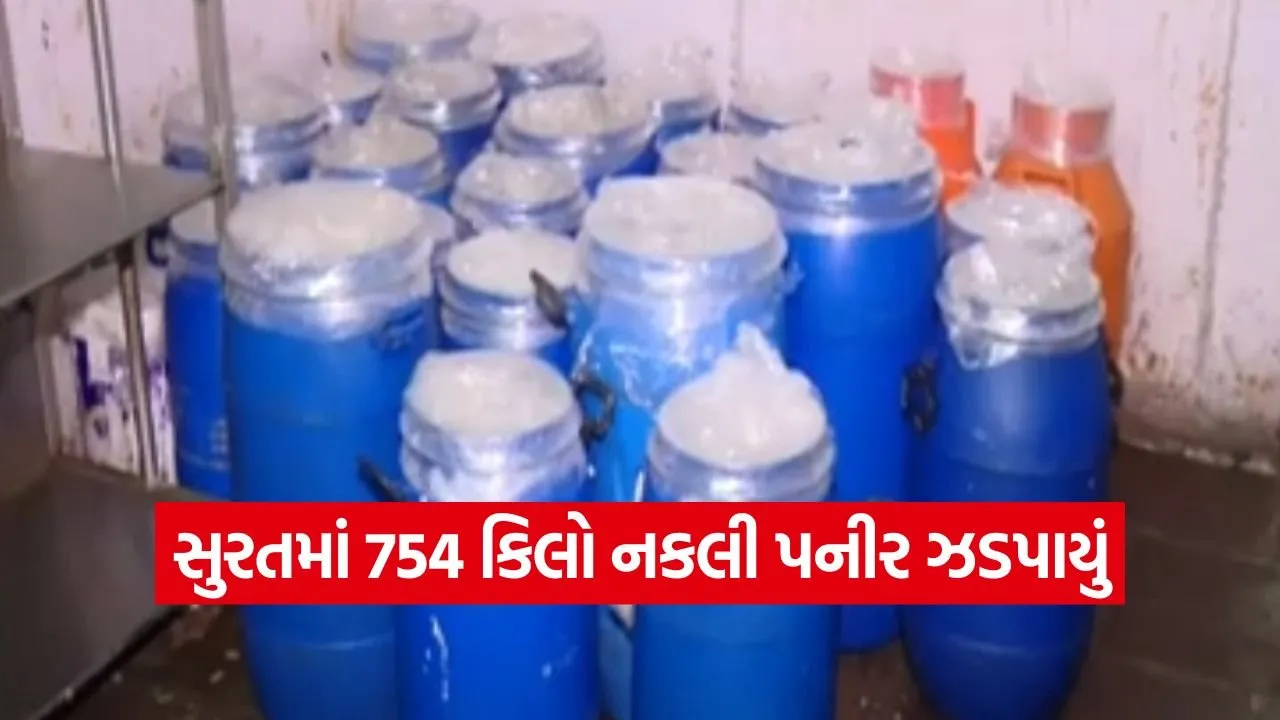 Duplicate Paneer in Surat 1.jpg