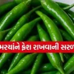Green Chillies