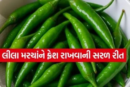 Green Chillies