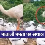 mother