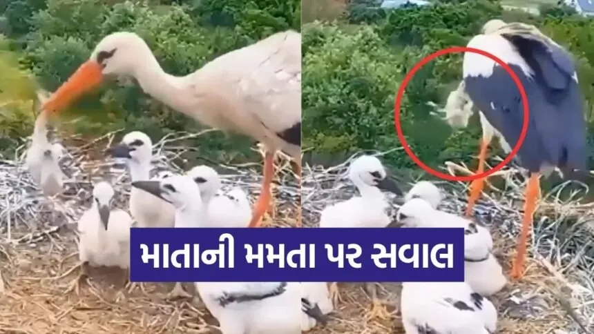 mother