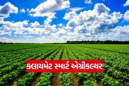 Climate Smart Agriculture 1