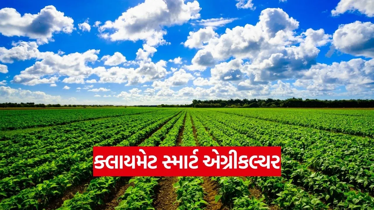 Climate Smart Agriculture 1.jpg