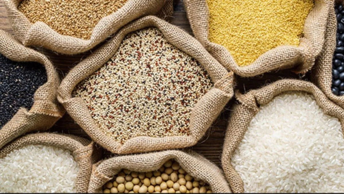 WhatsApp Image 2025 11 11 at 4.15.38 PM.jpeg