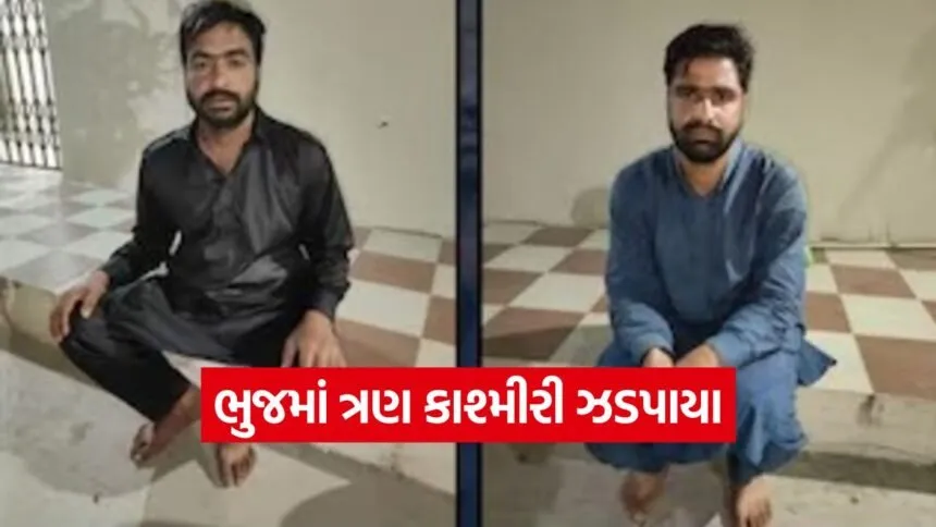 Bhuj hotel Kashmiris 1