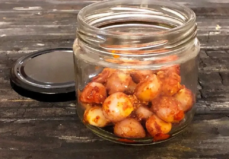 મિનિટોમાં તૈયાર કરો તીખું-મસાલેદાર ડુંગળીનું અથાણું, સ્વાદ એવો કે કંટાળાજનક ભોજન પણ બની જાય સ્વાદિષ્ટ! 2 pickel1.jpg