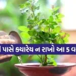 tulsi