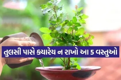 tulsi