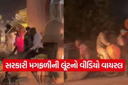 Surendranagar truck accident 1