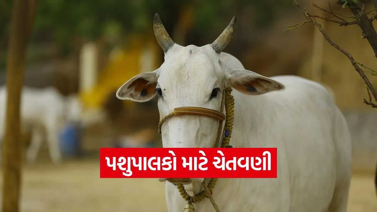 Mycotoxicosis in animals 1.jpg