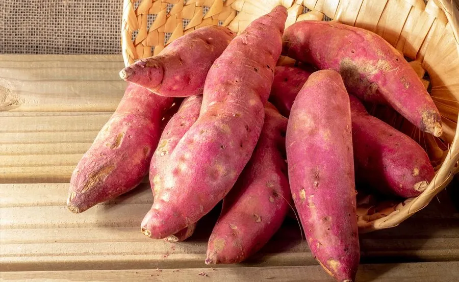 sweet potatoes1.jpg