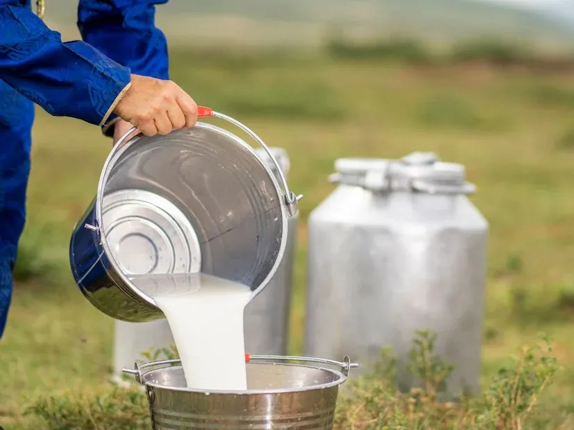 Salt benefits for dairy animals 2.png