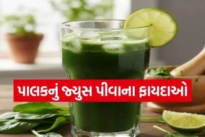 spinach juice