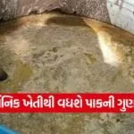 Organic farming in India 1