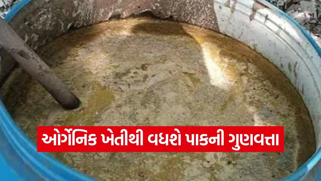 Organic farming in India 1.jpg