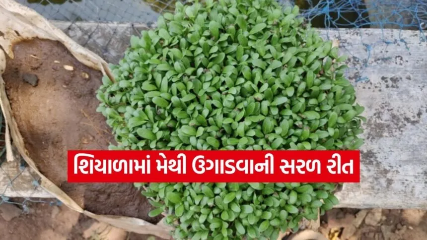 meethi