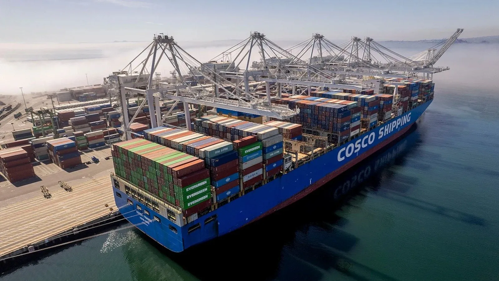 WhatsApp Image 2025 11 12 at 5.21.19 PM.jpeg