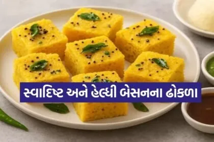 Besan Dhokla
