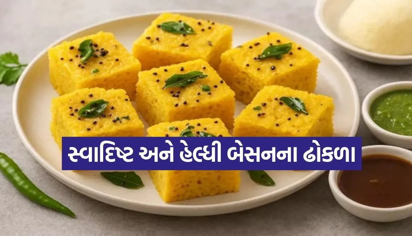 Besan Dhokla