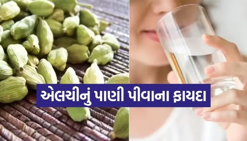 cardamom water