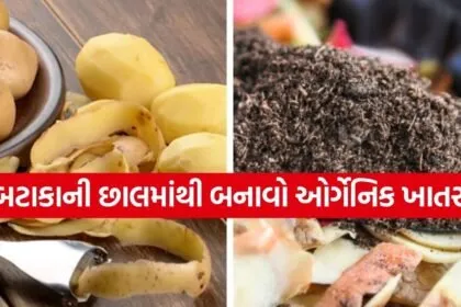 potato peels