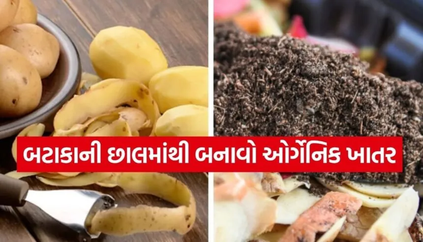 potato peels