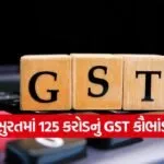 Surat 125 Crore GST Fraud 1