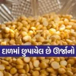 Chickpea Lentils