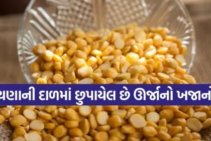 Chickpea Lentils