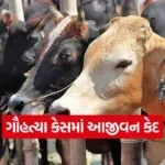 Gujarat Cow Slaughter Case 1