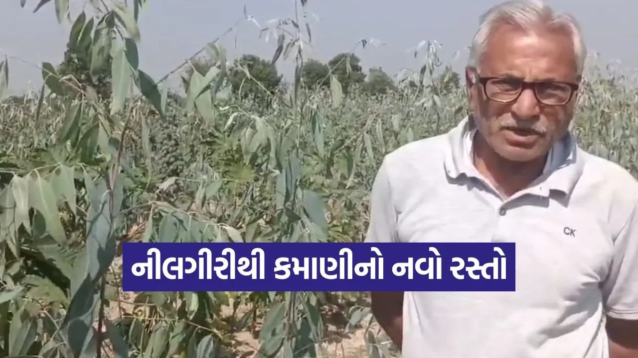 Industrial Wood Farming.jpg