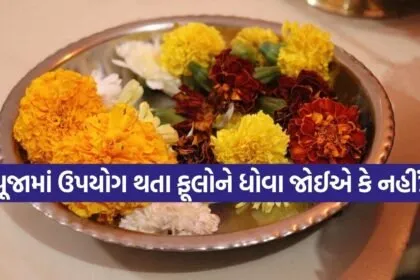 pooja rules