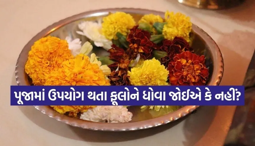 pooja rules
