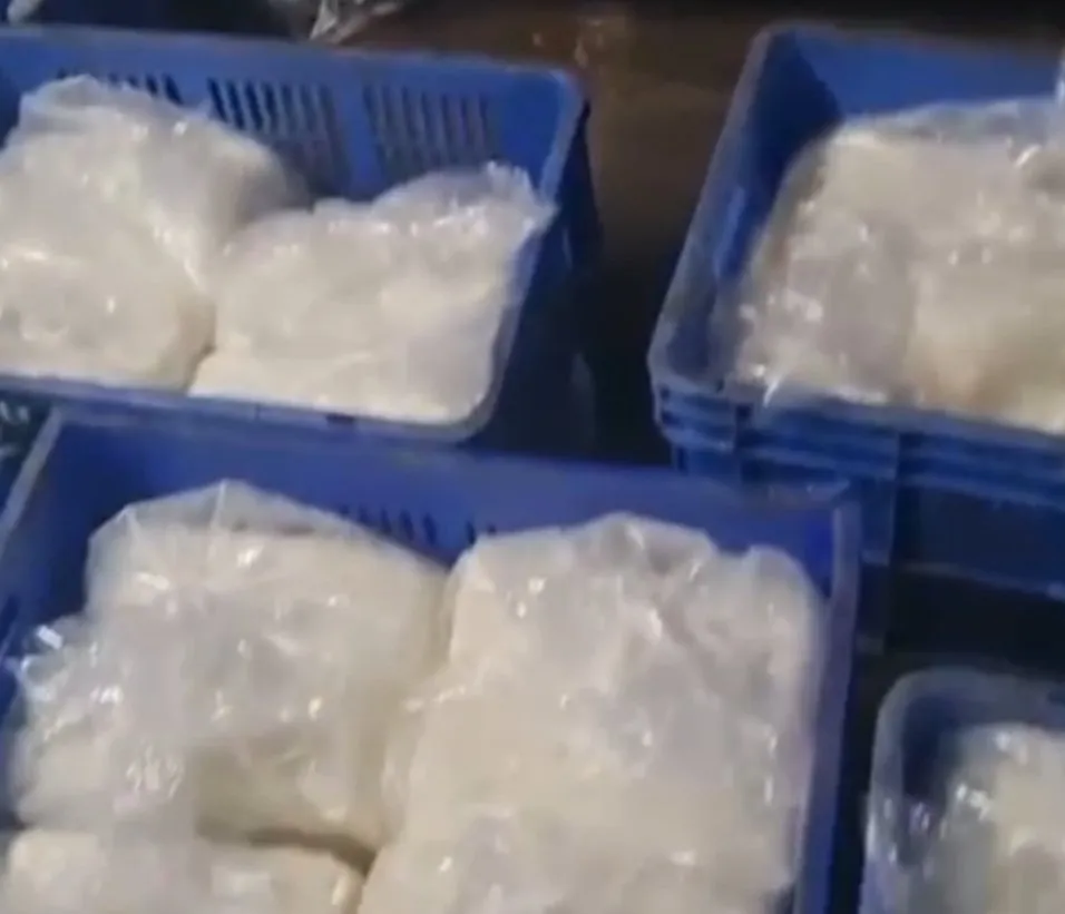 સુરતની સુરભી ડેરીમાંથી 754 કિલો નકલી પનીર કાંડ બાદ તંત્ર હરકતમાં, ડેરી સીલ 2 Fake Paneer Case in Surat 1.jpeg