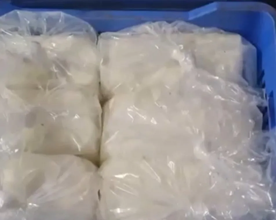 સુરતની સુરભી ડેરીમાંથી 754 કિલો નકલી પનીર કાંડ બાદ તંત્ર હરકતમાં, ડેરી સીલ 3 Fake Paneer Case in Surat 2.jpeg