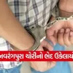 Naranpura house burglary case solved