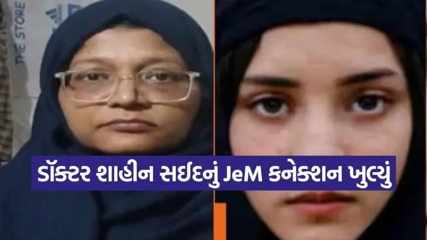 shaheen saeed 1