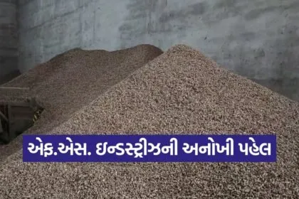 Groundnut Farmers Support 1