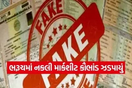 Fake Marksheet Scam in Gujarat 1